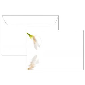 Artikel-Nr. 980-2023-7