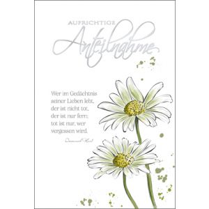 Artikel-Nr. H-2-3933