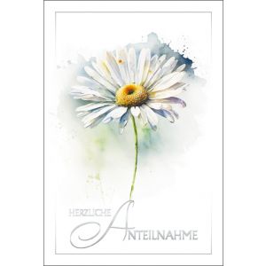 Artikel-Nr. H-2-3986