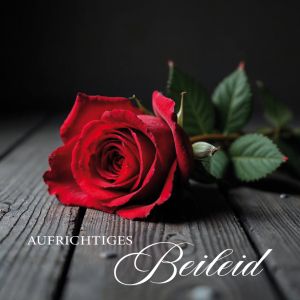 Artikel-Nr. H-2-4075-Q