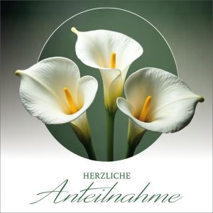 Artikel-Nr. H-2-4082-Q