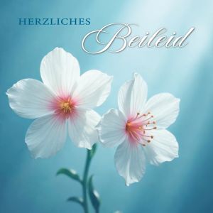 Artikel-Nr. H-2-4085-Q