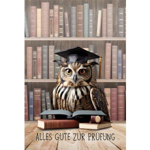 Artikel-Nr. H-24-222