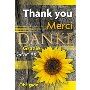 Artikel-Nr. H-26-155