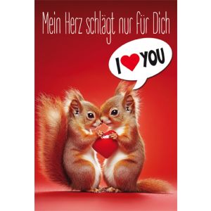 Artikel-Nr. H-3-4112