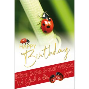 Artikel-Nr. H-4-5313