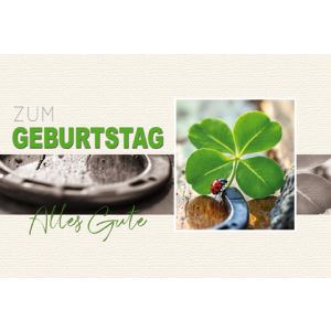 Artikel-Nr. H-4-5567