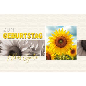 Artikel-Nr. H-4-5568