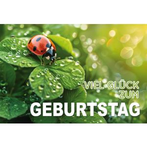 Artikel-Nr. H-4-5569