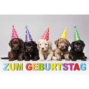 Artikel-Nr. H-4-5572