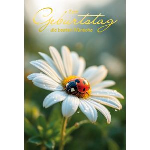 Artikel-Nr. H-4-5576