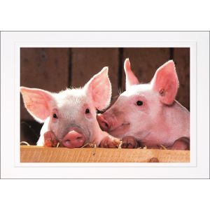 Artikel-Nr. H-625-1014