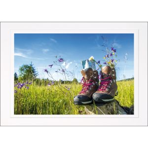 Artikel-Nr. H-625-747