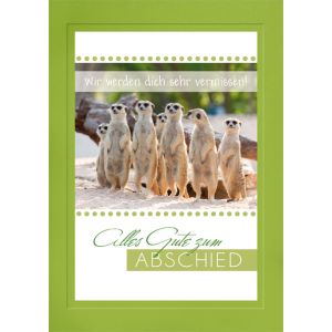 Artikel-Nr. H-627-260