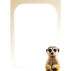 Artikel-Nr. 929-0112