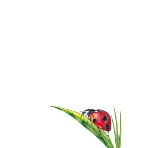 Artikel-Nr. 929-0114