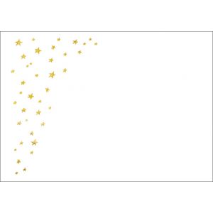 Artikel-Nr. 970-1007