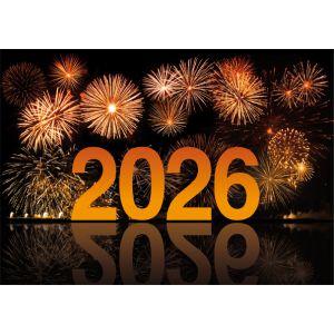 Artikel-Nr. 970-7851