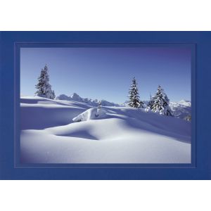 Artikel-Nr. 970-8322