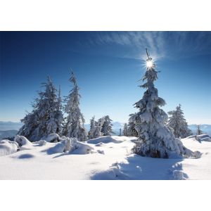 Weihnachtskarten
