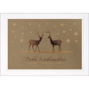 Artikel-Nr. 970-8552