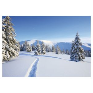 Artikel-Nr. 970-8579