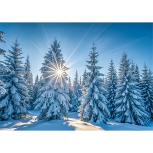 Artikel-Nr. 970-8738