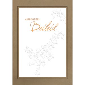 Artikel-Nr. H-602-3595