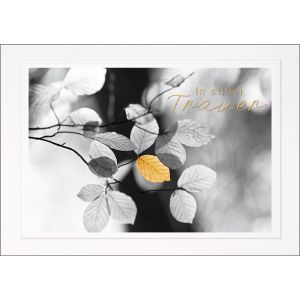 Artikel-Nr. H-602-3761