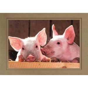 Artikel-Nr. H-625-1014