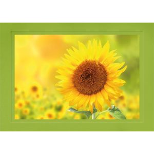 Artikel-Nr. H-625-435