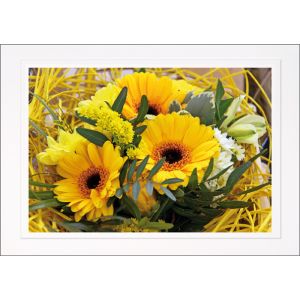 Artikel-Nr. H-625-494