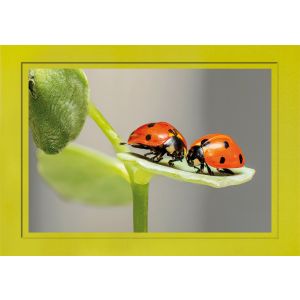 Artikel-Nr. H-625-821