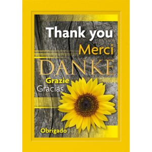 Artikel-Nr. H-626-155