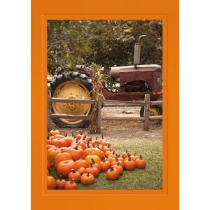 Artikel-Nr. H-625-259