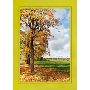 Artikel-Nr. H-625-260