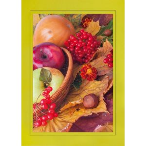 Artikel-Nr. H-625-265