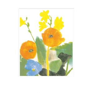 Artikel-Nr. 600-M6017