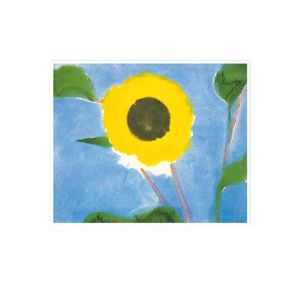 Artikel-Nr. 600-M6019